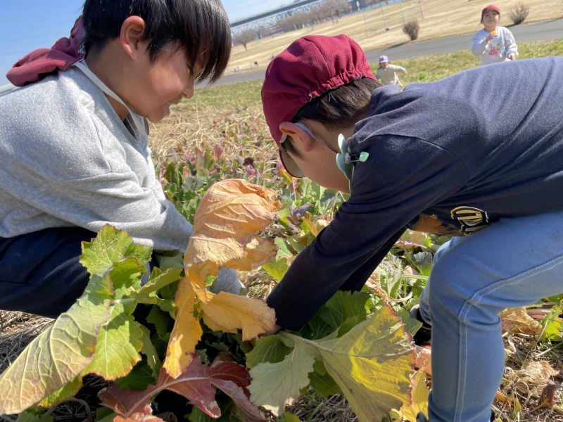 1.28「土手に見覚えのあるものが…」②