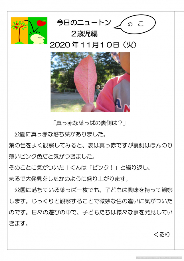 20201110「真っ赤な葉っぱの裏側は？」