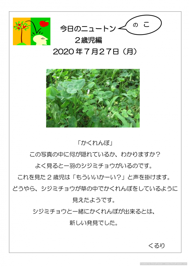 かくれんぼ 日々の保育 幼保連携型認定こども園すなはら 社会福祉法人 砂原母の会